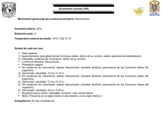 Ecosistema cerrado (JHI).
Movimiento general de las Lumbricus terrestris: Desconocido.
Humedad externa. 62%.
Radiación solar: 9.
Temperatura externa promedio: 19°C / 292.15 °K
Estado de cada ser vivo:
 Helix aspersa.
1) Aparentemente cese global de las funciones vitales, dentro de su concha, estado aparente de deshidratación.
2) Saludable, evidencia de movimiento, dentro de su concha.
 Lumbricus terrestris: Desconocido.
 Phaseolus vulgaris:
1) Sin evidencia de crecimiento, estado desconocido, probable abolición permanente de las funciones vitales del
organismo.
2) Germinado, saludable, 12 cm / 0.12 m.
3) Sin evidencia de crecimiento, estado desconocido, probable abolición permanente de las funciones vitales del
organismo.
4) Germinado, saludable, 12 cm / 0.12 m.
5) Sin evidencia de crecimiento, estado desconocido, probable abolición permanente de las funciones vitales del
organismo.
6) Germinado, saludable, 20 cm / 0.20 m.
 Bryophyta sensu stricto: Saludable, frondoso, color verde intenso.
 Moho: Presencia en la regla métrica 2 (abundante) y en la regla métrica 1.
Competencia: No hay competencia.
 