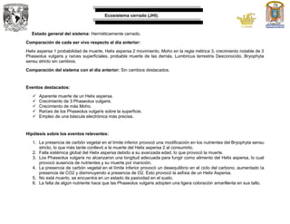 Ecosistema cerrado (JHI).
Estado general del sistema: Herméticamente cerrado.
Comparación de cada ser vivo respecto al día anterior:
Helix aspersa 1 probabilidad de muerte, Helix aspersa 2 movimiento, Moho en la regla métrica 3, crecimiento notable de 3
Phaseolus vulgaris y raíces superficiales, probable muerte de las demás, Lumbricus terrestris Desconocido, Bryophyta
sensu stricto sin cambios.
Comparación del sistema con el día anterior: Sin cambios destacados.
Eventos destacados:
 Aparente muerte de un Helix aspersa.
 Crecimiento de 3 Phaseolus vulgaris.
 Crecimiento de más Moho.
 Raíces de los Phaseolus vulgaris sobre la superficie.
 Empleo de una báscula electrónica más precisa.
Hipótesis sobre los eventos relevantes:
1. La presencia de carbón vegetal en el límite inferior provocó una modificación en los nutrientes del Bryophyta sensu
stricto, lo que más tarde conllevó a la muerte del Helix aspersa 2 al consumirlo.
2. Falla sistémica global del Helix aspersa debido a su avanzada edad, lo que provocó la muerte.
3. Los Phaseolus vulgaris no alcanzaron una longitud adecuada para fungir como alimento del Helix aspersa, lo cual
provocó ausencia de nutrientes y su muerte por inanición.
4. La presencia de carbón vegetal en el límite inferior provocó un desequilibrio en el ciclo del carbono, aumentado la
presencia de CO2 y disminuyendo a presencia de O2. Esto provocó la asfixia de un Helix Aspersa.
5. No está muerto, se encuentra en un estado de pasividad en el suelo.
6. La falta de algún nutriente hace que las Phaseolus vulgaris adopten una ligera coloración amarillenta en sus tallo.
 