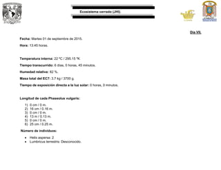 Ecosistema cerrado (JHI).
Día VII.
Fecha: Martes 01 de septiembre de 2015.
Hora: 13:45 horas.
Temperatura interna: 22 ºC / 295.15 ºK
Tiempo transcurrido: 6 días, 0 horas, 45 minutos.
Humedad relativa: 82 %.
Masa total del EC7: 3.7 kg / 3700 g.
Tiempo de exposición directa a la luz solar: 0 horas, 0 minutos.
Longitud de cada Phaseolus vulgaris:
1) 0 cm / 0 m.
2) 16 cm / 0.16 m.
3) 0 cm / 0 m.
4) 13 m / 0.13 m.
5) 0 cm / 0 m.
6) 25 cm / 0.25 m.
Número de individuos:
 Helix aspersa: 2
 Lumbricus terrestris: Desconocido.
 