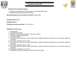 Ecosistema cerrado (JHI).
Movimiento de cada Helix aspersa:
1) Aparente cese global de funciones vitales, cerca del límite inferior norte.
2) Movimiento hacía el límite superior suroeste.
Movimiento general de las Lumbricus terrestris: Desconocido.
Humedad externa: 89%
Radiación solar: 6.
Temperatura externa promedio: 16°C / 289.15 °K.
Estado de los seres vivos:
 Helix aspersa:
1) Aparentemente muerto.
2) Saludable, evidencia de movimiento, dentro de su concha.
 Lumbricus terrestris: Desconocido.
 Phaseolus vulgaris:
1) Sin evidencia de crecimiento, estado desconocido, probable abolición permanente de las funciones vitales del
organismo.
2) Germinado, saludable, 18 cm / 0.18 m.
3) Sin evidencia de crecimiento, estado desconocido, probable abolición permanente de las funciones vitales del
organismo.
4) Germinado, saludable, 16 cm / 0.16 m.
5) Sin evidencia de crecimiento, estado desconocido, probable abolición permanente de las funciones vitales del
organismo.
6) Germinado, saludable, 27 cm / 0.27 m.
 Bryophyta sensu stricto: Saludable, frondoso, color verde intenso.
 