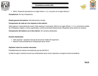 Ecosistema cerrado (JHI).
 Moho: Presencia abundante en la regla métrica 1 y 2, muy poco en la regla métrica 3.
Competencia: No hay competencia.
Estado general del sistema: Herméticamente cerrado.
Comparación de cada ser vivo respecto al día anterior:
Helix aspersa 1 aparentemente muerto, Helix aspersa 2 movimiento, Moho en la regla métrica 1, 2 y 3, crecimiento notable
de 3 Phaseolus vulgaris y raíces superficiales, Lumbricus terrestris Desconocido, Bryophyta sensu stricto sin cambios.
Comparación del sistema con el día anterior: Sin cambios destacados.
Eventos destacados:
 Helix aspersa 1 aparente cese de las funciones vitales del organismo.
 Mancha verde amarillenta en el Bryophyta sensu stricto.
Hipótesis sobre los eventos relevantes.
Probablemente las mismas circunstancias que las del Día VI.
La falta de algún nutriente provocó que el Bryophyta sensu stricto adquiriera una ligera mancha amarillenta.
Día IX.
 