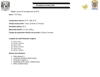 Ecosistema cerrado (JHI).
Fecha: Jueves 03 de septiembre de 2015.
Hora: 11:27 horas.
Temperatura interna: 22 ºC / 295.15 ºK
Tiempo transcurrido: 7 días, 22 horas, 27 minutos.
Humedad relativa: 82 %.
Masa total del EC7: 3.7 kg / 3700 g.
Tiempo de exposición directa a la luz solar: 0 horas, 0 minutos.
Longitud de cada Phaseolus vulgaris:
1) 0 cm / 0 m.
2) 22 cm / 0.22 m.
3) 0 cm / 0 m.
4) 18 cm / 0.18 m.
5) 0 cm / 0 m.
6) 28 cm / 0.28 m.
Número de individuos:
 Helix aspersa. 2
 Lumbricus terrestris. Desconocido.
 Phaseolus vulgaris: 3.
 Bryophyta sensu stricto: Indeterminado.
 Moho: Indeterminado.
 