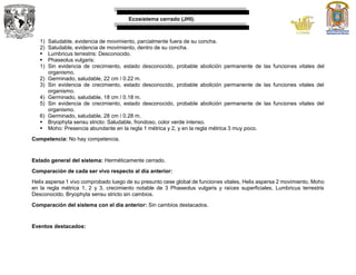 Ecosistema cerrado (JHI).
1) Saludable, evidencia de movimiento, parcialmente fuera de su concha.
2) Saludable, evidencia de movimiento, dentro de su concha.
 Lumbricus terrestris: Desconocido.
 Phaseolus vulgaris:
1) Sin evidencia de crecimiento, estado desconocido, probable abolición permanente de las funciones vitales del
organismo.
2) Germinado, saludable, 22 cm / 0.22 m.
3) Sin evidencia de crecimiento, estado desconocido, probable abolición permanente de las funciones vitales del
organismo.
4) Germinado, saludable, 18 cm / 0.18 m.
5) Sin evidencia de crecimiento, estado desconocido, probable abolición permanente de las funciones vitales del
organismo.
6) Germinado, saludable, 28 cm / 0.28 m.
 Bryophyta sensu stricto: Saludable, frondoso, color verde intenso.
 Moho: Presencia abundante en la regla 1 métrica y 2, y en la regla métrica 3 muy poco.
Competencia: No hay competencia.
Estado general del sistema: Herméticamente cerrado.
Comparación de cada ser vivo respecto al día anterior:
Helix aspersa 1 vivo comprobado luego de su presunto cese global de funciones vitales, Helix aspersa 2 movimiento, Moho
en la regla métrica 1, 2 y 3, crecimiento notable de 3 Phaseolus vulgaris y raíces superficiales, Lumbricus terrestris
Desconocido, Bryophyta sensu stricto sin cambios.
Comparación del sistema con el día anterior: Sin cambios destacados.
Eventos destacados:
 