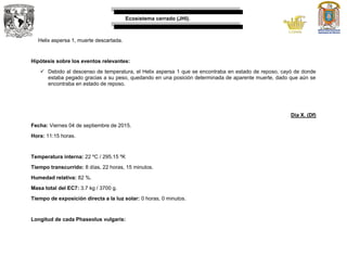 Ecosistema cerrado (JHI).
Helix aspersa 1, muerte descartada.
Hipótesis sobre los eventos relevantes:
 Debido al descenso de temperatura, el Helix aspersa 1 que se encontraba en estado de reposo, cayó de donde
estaba pegado gracias a su peso, quedando en una posición determinada de aparente muerte, dado que aún se
encontraba en estado de reposo.
Día X. (Df)
Fecha: Viernes 04 de septiembre de 2015.
Hora: 11:15 horas.
Temperatura interna: 22 ºC / 295.15 ºK
Tiempo transcurrido: 8 días, 22 horas, 15 minutos.
Humedad relativa: 82 %.
Masa total del EC7: 3.7 kg / 3700 g.
Tiempo de exposición directa a la luz solar: 0 horas, 0 minutos.
Longitud de cada Phaseolus vulgaris:
 