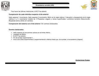 Ecosistema cerrado (JHI).
Tras hacer las últimas mediciones, el EC7 fue abierto.
Comparación de cada individuo respecto al día anterior:
Helix aspersa 1 movimiento, Helix aspersa 2 movimiento, Moho en la regla métrica 1 (decaído) y desaparición de la regla
métrica 2 y 3, crecimiento notable de 3 Phaseolus vulgaris y raíces superficiales, Lumbricus terrestris Desconocido,
Bryophyta sensu stricto sin cambios.
Comparación del sistema con el día anterior: Sin cambios destacados.
Eventos destacados:
 Helix aspersa se encuentran activos en el límite inferior.
 Vestigios de Moho.
 El EC7 fue abierto.
 Fin de la fase experimental 1.
 Inicio de la fase experimental 2 (experimentación vitalicia hasta que, de suceder, el ecosistema colapse).
Anotaciones finales.
 