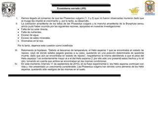 Ecosistema cerrado (JHI).
I. Hemos llegado al consenso de que las Phaseolus vulgaris (1, 3 y 5) que no fueron observadas murieron dado que
el musgo les impidió el crecimiento y, por lo tanto, su desarrollo.
II. La coloración amarillenta de los tallos de las Phaseolus vulgaris y la mancha amarillenta de la Bryophyta sensu
stricto pudo haber ocurrido por las siguientes razones, apoyadas en nuestras investigaciones:
 Falta de luz solar directa.
 Falta de nutrientes.
 Exceso de agua.
 Exceso de sales minerales.
 Anomalías en la raíz.
Por lo tanto, dejamos esta cuestión como indefinida.
III. Retomando la hipótesis: “Debido al descenso de temperatura, el Helix aspersa 1 que se encontraba en estado de
reposo, cayó de donde estaba pegado gracias a su peso, quedando en una posición determinada de aparente
muerte, dado que aún se encontraba en estado de reposo”, respaldamos la misma atendiendo a que el peso del
Helix aspersa 1 es evidentemente mayor al a el del Helix aspersa 2, por ello sólo uno presentó estos hechos y no el
otro, tomando en cuenta que ambos se encontraban en las mismas condiciones.
IV. En este momento (Viernes 11 de septiembre de 2015), en la Fase experimental 2, los Helix aspersa continúan con
vida y han presentado un crecimiento considerable. Las Phaseolus vulgaris han servido como alimento de los Helix
aspersa, quedando sólo vestigios de las mismas en el suelo.
 