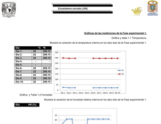 Ecosistema cerrado (JHI).
Gráficas de las mediciones de la Fase experimental 1.
Gráfica y tabla 1.1 Temperatura.
Muestra la variación de la temperatura interna en los diez días de la Fase experimental 1.
Día ºC ºK
Día 1. 26 299.15
Día 2. 22 295.15
Día 3. 22 295.15
Día 4. - -
Día 5. - -
Día 6. 22 295.15
Día 7. 22 295.15
Día 8. 22 295.15
Día 9. 22 295.15
Día 10. 22 295.15
Gráfica y Tabla 1.2 Humedad
Muestra la variación de la humedad relativa interna en los diez días de la Fase experimental 1.
Día. HR (%).
0
50
100
150
200
250
300
350
Día 1. Día 2. Día 3. Día 4. Día 5. Día 6. Día 7. Día 8. Día 9. Día 10.
ºC
ºK
80
90
 