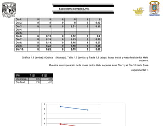Ecosistema cerrado (JHI).
Día1. 0 0 0 0 0 0
Día 2. 0 0 0 0 0 0.02
Día 3. 0 0 0 0.01 0 0.11
Día 4.
Día 5.
Día 6. 0 0.12 0 0.12 0 0.2
Día 7. 0 0.16 0 0.13 0 0.25
Día 8. 0 0.18 0 0.16 0 0.27
Día 9. 0 0.22 0 0.18 0 0.28
Día 10. 0 0.23 0 0.19 0 0.29
Gráfica 1.8 (arriba) y Gráfica 1.9 (abajo), Tabla 1.7 (arriba) y Tabla 1.8 (abajo) Masa inicial y masa final de los Helix
aspersa.
Muestra la comparación de la masa de los Helix aspersa en el Día 1 y el Día 10 de la Fase
experimental 1.
Día. 1 (g) 2 (g)
Día inicial. 8.5 4.9
Día final. 7.8 4.2
5
6
7
8
9
 