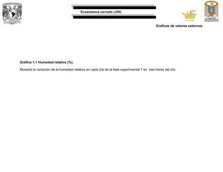 Ecosistema cerrado (JHI).
Graficas de valores externos.
Gráfica 1.1 Humedad relativa (%).
Muestra la variación de la humedad relativa en cada día de la fase experimental 1 en tres horas del día.
 