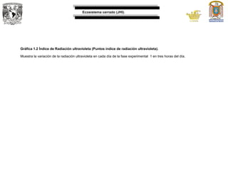 Ecosistema cerrado (JHI).
Gráfica 1.2 Índice de Radiación ultravioleta (Puntos índice de radiación ultravioleta).
Muestra la variación de la radiación ultravioleta en cada día de la fase experimental 1 en tres horas del día.
 