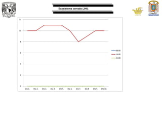 Ecosistema cerrado (JHI).
0
2
4
6
8
10
12
Día 1. Día 2. Día 3. Día 4. Día 5. Día 6. Día 7. Día 8 Día 9. Día 10.
08:00
14:00
21:00
 
