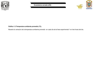 Ecosistema cerrado (JHI).
Gráfica 1.3 Temperatura ambiente promedio (°C).
Muestra la variación de la temperatura ambiente promedio en cada día de la fase experimental 1 en tres horas del día.
 