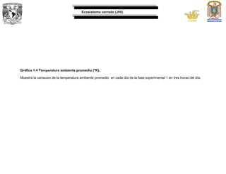 Ecosistema cerrado (JHI).
Gráfica 1.4 Temperatura ambiente promedio (°K).
Muestra la variación de la temperatura ambiente promedio en cada día de la fase experimental 1 en tres horas del día.
 