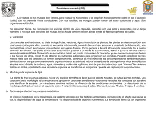Ecosistema cerrado (JHI).
Las hojillas de los musgos son verdes, para realizar la fotosíntesis y se disponen helicoidalmente sobre el eje o cauloide
(tallito) que no presenta vasos conductores. Con sus raicillas, los musgos pueden tomar del suelo sustancias y agua. Son
organismos autótrofos.
No presentan flores. Se reproducen por esporas dentro de unas cápsulas, cubiertas por una cofia y sostenidas por un largo
filamento o hilo que sale del tallito del musgo. En las hojas también existen zonas donde se fabrican gametos sexuales.
V. Caracoles
Los caracoles son herbívoros, su dieta incluye, frutas, verduras, algas y otros tipos de plantas, las plantas en descomposición son
una buena opción para ellos, cuando no encuentre más comida, comerán tierra o bien, entraran a un estado de hibernación, son
hermafroditas, ponen sus huevos y los entierran en lugares frescos, Por lo general le llevará al huevo de caracol de dos a cuatro
semanas desarrollar. Tan pronto como salen del cascarón, pasarán a un modo de supervivencia, debido a que sus conchas todavía
serán demasiado débiles. Su reacción es encontrar el calcio tan pronto como salen del cascarón, ya sea comiendo su propio huevo
o los huevos de otros, con el fin de obtener los nutrientes adicionales para endurecer sus conchas. Pasarán alrededor de tres
meses hasta que los caracoles se formen completamente, pertenece al nivel trófico de los descomponedores también llamados
detritos que son los que consumen materia orgánica muerta, su actividad reduce los residuos de los organismos vivos en moléculas
simples como: dióxido de carbono, agua, minerales y moléculas orgánicas, son de gran importancia ya que "cierran" las cadenas
tróficas en ciclos, posibilitando que la materia orgánica se transforme en inorgánica y pueda ser captada por los productores.
 Morfología de la planta de frijol.
La planta de frijol es anual, albacea, no es una especie termófila es decir que no soporta heladas, se cultiva por las semillas. Los
caracteres de la morfología es las especies se agrupan en caracteres constantes y caracteres variables; los constates son aquellos
que identifican la especie. Los caracteres variables reciben la influencia de las condiciones ambientales. La descripción de la
morfología del frijol se hará en el siguiente orden: 1 raíz, 5 inflorescencias 2 tallos, 6 flores, 3 ramas, 7 frutos, 4 hojas, 8 semillas.
 Factores que afectan los procesos metabólicos:
El proceso metabólico de la fotosíntesis, es bastante afectado por los factores ambientales, considerando el efecto que causa la
luz, la disponibilidad de agua la temperatura y la disponibilidad de algunos nutrimentos. La lombriz de tierra Es un organismo
 