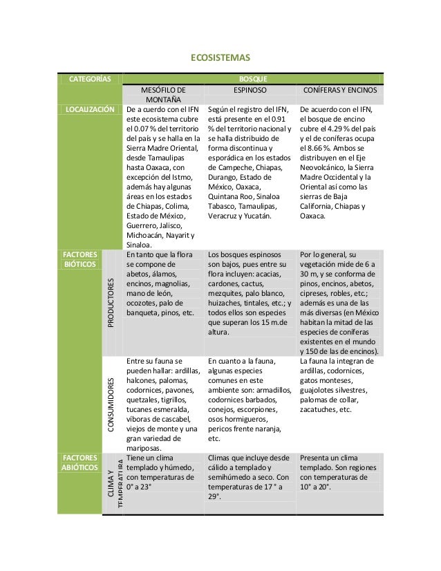 Ecosistema. cuadro.