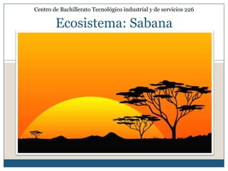 Centro de Bachillerato Tecnológico industrial y de servicios 226

        Ecosistema: Sabana
 