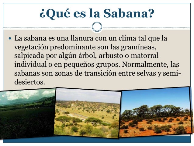 Ecosistema sabana