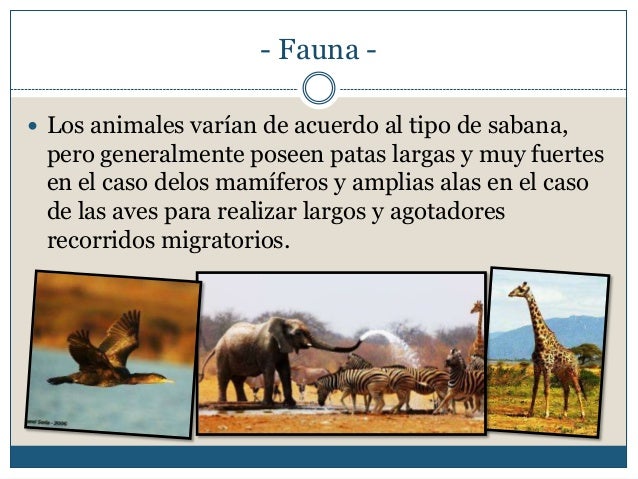 Ecosistema sabana