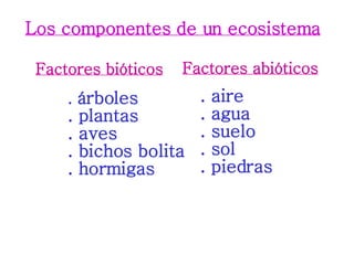 Los componentes de un ecosistema Factores bióticos Factores abióticos .  árboles . plantas . aves . bichos bolita . hormigas . aire . agua . suelo . sol . piedras 