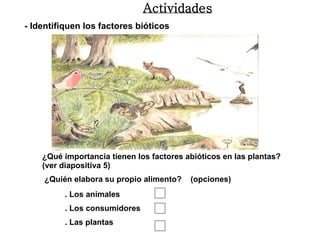 - Identifiquen los factores bióticos   ¿Qué importancia tienen los factores abióticos en las plantas?  (ver diapositiva 5) ¿Quién elabora su propio alimento?  (opciones) . Los animales . Los consumidores . Las plantas Actividades 