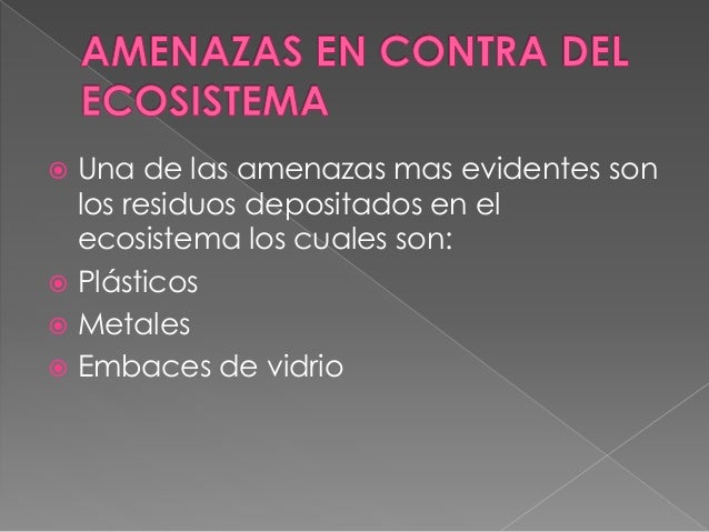 Ecosistema 10 B
