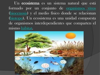 Un ecosistema es un sistema natural que está
formado por un conjunto de organismos vivos
(biocenosis) y el medio físico donde se relacionan
(biotopo). Un ecosistema es una unidad compuesta
de organismos interdependientes que comparten el
mismo hábitat.