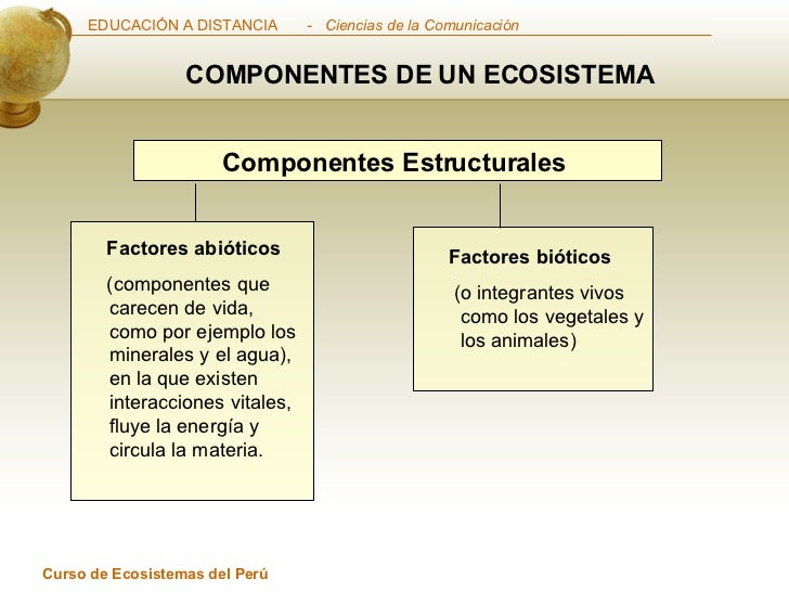 Ecosistema