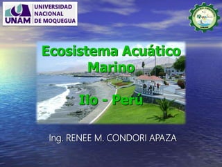 Ing. RENEE M. CONDORI APAZA
Ecosistema Acuático
Marino
Ilo - Perú
 