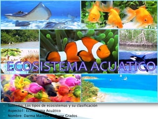  Subtema: Los tipos de ecosistemas y su clasificación
 Aspecto1: Ecosistema Acuático
 Nombre: Darma Maritza Ladkane Grados
 