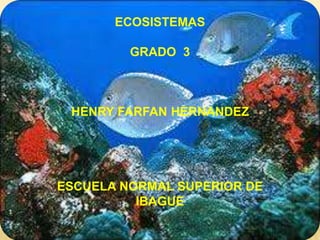 ECOSISTEMAS
GRADO 3
HENRY FARFAN HERNANDEZ
ESCUELA NORMAL SUPERIOR DE
IBAGUE
 