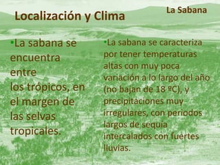 Localización y Clima 
•La sabana se 
encuentra 
entre 
los trópicos, en 
el margen de 
las selvas 
tropicales. 
La Sabana 
•La sabana se caracteriza 
por tener temperaturas 
altas con muy poca 
variación a lo largo del año 
(no bajan de 18 ºC), y 
precipitaciones muy 
irregulares, con periodos 
largos de sequía 
intercalados con fuertes 
lluvias. 
 