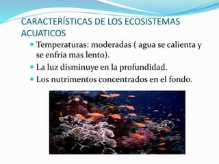 CARACTERÍSTICAS DE LOS ECOSISTEMAS 
ACUATICOS 
 Temperaturas: moderadas ( agua se calienta y 
se enfría mas lento). 
 La luz disminuye en la profundidad. 
 Los nutrimentos concentrados en el fondo. 
 