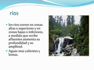 ríos 
 los ríos corren en zonas 
altas o superiores y en 
zonas bajas o inferiores, 
a medida que recibe 
afluentes aumenta su 
profundidad y su 
amplitud. 
 Aguas mas calientes y 
lentas. 
 