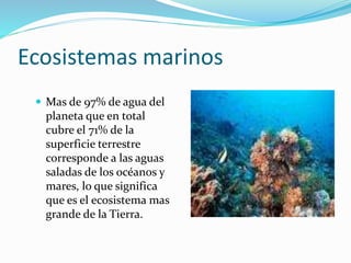 Ecosistemas marinos 
 Mas de 97% de agua del 
planeta que en total 
cubre el 71% de la 
superficie terrestre 
corresponde a las aguas 
saladas de los océanos y 
mares, lo que significa 
que es el ecosistema mas 
grande de la Tierra. 
 