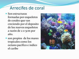 Arrecifes de coral 
 Son estructuras 
formadas por esqueletos 
de corales que van 
creciendo por el deposito 
de los nuevos esqueletos 
a razón de 2 o 5cm por 
año. 
 son propios de los mares 
tropicales como los 
océano pacifico e indico 
el caribe 
 