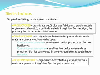 Niveles tróficos 
Se pueden distinguir los siguientes niveles: 
•PRODUCTORES.- organismos autótrofos que fabrican su propia materia 
orgánica (su alimento), a partir de materia inorgánica. Son las algas, las 
plantas y las bacterias fotosintetizadoras. 
•CONSUMIDORES.- son organismos heterótrofos que se alimentan de 
materia orgánica viva. Hay varios tipos: 
Consumidores primarios.- se alimentan de los productores. Son los 
herbívoros. 
Consumidores secundarios.- se alimentan de los consumidores 
primarios. Son los carnívoros. En algunos ecosistemas puede haber 
terciarios. 
•DESCOMPONEDORES.-organismos heterótrofos que transforman la 
materia orgánica en inorgánica. Son hongos y bacterias. 
 