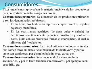 Consumidores 
Estos organismos aprovechan la materia orgánica de los productores 
para convertirla en materia orgánica propia. 
Consumidores primarios: Se alimentan de los productores primarios 
y son los denominados herbívoros. 
• En la tierra, los herbívoros típicos incluyen insectos, reptiles, 
pájaros y mamíferos. 
• En los ecosistemas acuáticos (de agua dulce y salada) los 
herbívoros son típicamente pequeños crustáceos y moluscos. 
Estos, junto con los protozoos forman el zooplancton, el cual se 
alimenta del fitoplancton. 
Consumidores secundarios: Este nivel está constituido por animales 
que comen otros animales, se alimentan de los herbívoros y por lo 
tanto son carnívoros, por ejemplo: halcón, orca, carpa, etc. 
Consumidores terciarios: Se alimentan de los consumidores 
secundarios, y por lo tanto también son carnívoros, por ejemplo: león, 
cocodrilo, etc. 
 