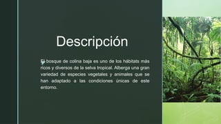 Ecosistema de la Selva Tropical Bosque de Colina Baja | PPTX