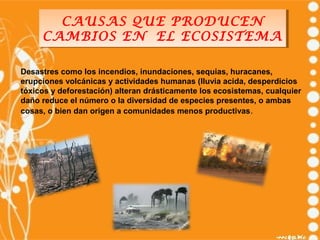 CAUSAS QUE PRODUCEN
       CAUSAS QUE PRODUCEN
     CAMBIOS EN EL ECOSISTEMA
     CAMBIOS EN EL ECOSISTEMA

Desastres como...