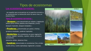 Tipos de ecosistemas
Los ecosistemas terrestres:
son aquellos que se encuentran en la superficie terrestre y
se caracteriza por la interacción entre los seres vivos y el
entorno físico.
Tipos de ecosistemas terrestres :
1 Bosques : esta denominado por arboles y vegetación
leñosa.(pinos arboles,jabalíes,osos,leopardos y otros).
(bosques tropicales ,bosques templados )
2 Praderas : denominados por pastos y hierbas.
(praderas templadas, praderas tropicales)
3 desiertos. Son ecosistemas con poca vegetación.
( cactus, nopales, camellos, coyotes, cobras, suricatos y
escorpiones).
(desiertos cálidos ,desiertos fríos)
4 tundras: denominados en ecosistemas fríos y áridos .
(tundra ártica, tundra alpina(baja vegetación y escasa).
 