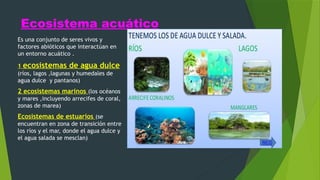 Ecosistema acuático
Es una conjunto de seres vivos y
factores abióticos que interactúan en
un entorno acuático .
1 ecosistemas de agua dulce
(ríos, lagos ,lagunas y humedales de
agua dulce y pantanos)
2 ecosistemas marinos (los océanos
y mares ,incluyendo arrecifes de coral,
zonas de marea)
Ecosistemas de estuarios (se
encuentran en zona de transición entre
los ríos y el mar, donde el agua dulce y
el agua salada se mesclan)
 