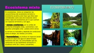 Ecosistema mixto
En ecosistemas mixto se comparten las
características del ecosistema terrestre y
ecosistema acuatico,esto hace que ellos sean
considerados como zona de transición entre
ambos tipos de ecosistemas por lo que cuentan
con espacios terrestres y con agua .
1 zonas costeras: son la unidos de
territorios emergidos (islas, continentes ) son
aquellos sumergidos (mar ,océano entre otros)
Su terreno es inestable y depende de condiciones
como el oleaje ,los vientos y el clima.
2 humedales: se produce en espacios donde
el suelo se satura de agua en determinados
momentos del año, las comunidades que los
conforman no soy totalmente terrestres ni
acuáticos como las ( ranas y cocodrilos).
 