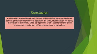 Conclusión
El ecosistema es fundamental para la vida ,proporcionando servicios esenciales
como la producción de oxigeno, la regulación del clima, la purificación del agua y
la provisión de alimentos . Entre los organismos vivos y su entorno físico en un
ecosistema es crucial para el funcionamiento de la naturaleza.
 