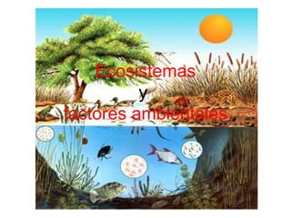Ecosistemas
y
factores ambientales
 