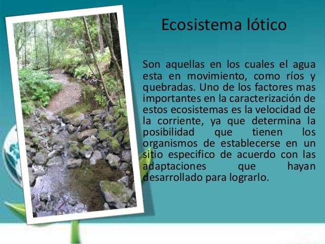 Ecosistema lótico
