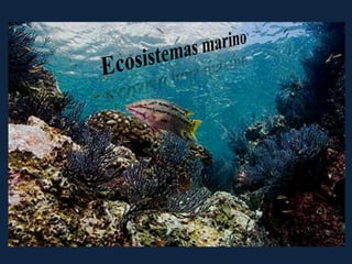 Ecosistemas marino  