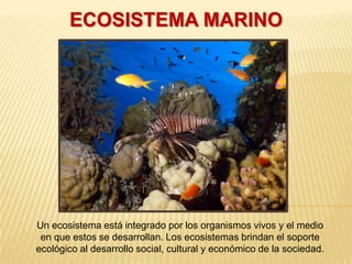 ECOSISTEMA MARINO




Un ecosistema está integrado por los organismos vivos y el medio
 en que estos se desarrollan. Los ecosistemas brindan el soporte
ecológico al desarrollo social, cultural y económico de la sociedad.
 