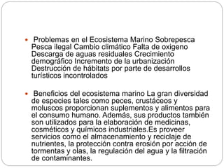  Problemas en el Ecosistema Marino Sobrepesca
Pesca ilegal Cambio climático Falta de oxigeno
Descarga de aguas residuales Crecimiento
demográfico Incremento de la urbanización
Destrucción de hábitats por parte de desarrollos
turísticos incontrolados
 Beneficios del ecosistema marino La gran diversidad
de especies tales como peces, crustáceos y
moluscos proporcionan suplementos y alimentos para
el consumo humano. Además, sus productos también
son utilizados para la elaboración de medicinas,
cosméticos y químicos industriales.Es proveer
servicios como el almacenamiento y reciclaje de
nutrientes, la protección contra erosión por acción de
tormentas y olas, la regulación del agua y la filtración
de contaminantes.
 