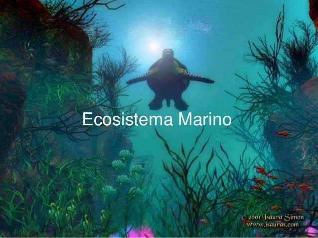 Ecosistema marino