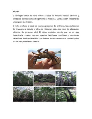 NICHO
El concepto formal de nicho incluye a todos los factores bióticos, abióticos y
entrópicos con los cuales el organismo se relaciona. Es la posición relacional de
una especie o población.
El nicho involucra a todos los recursos presentes del ambiente, las adaptaciones
del organismo a estudiar y cómo se relacionan estos dos (nivel de adaptación,
eficiencia de consumo, etc.) El nicho ecológico permite que en un área
determinada convivan muchas especies, herbívoras, carnívoras u omnívoras,
habiéndose especializado cada una de ellas en una determinada planta o presa,
sin ser competencia una de otras.

 